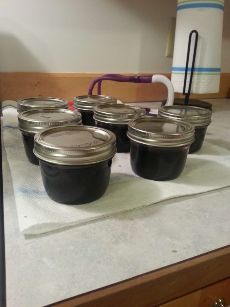 Canned blueberry jam