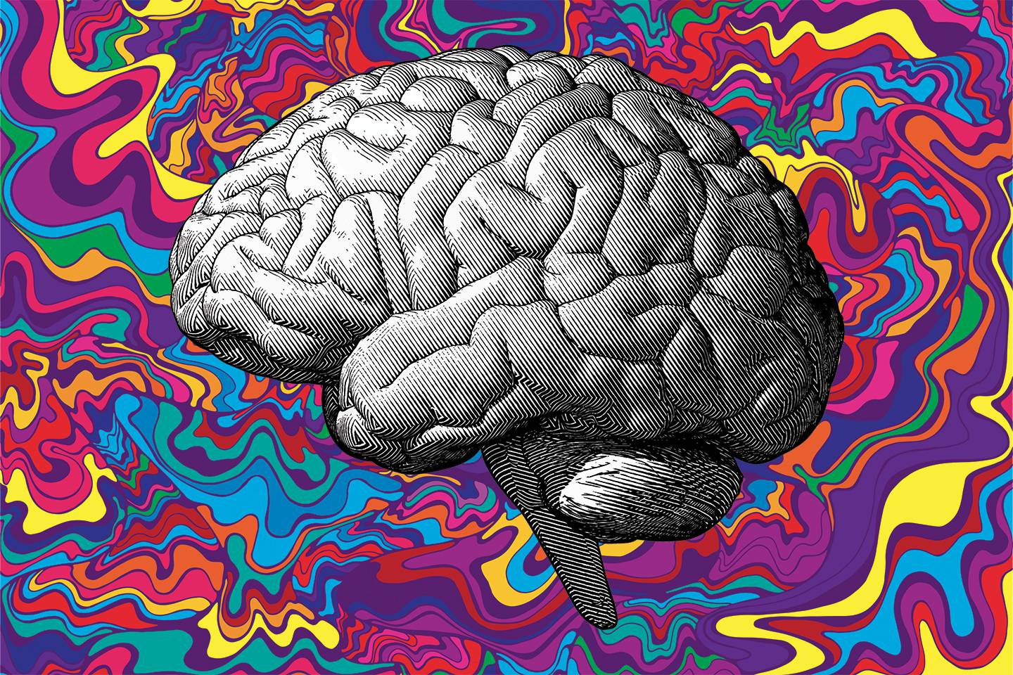 The Future of Psychedelics in Psychotherapy (Turtles all the Way Down)